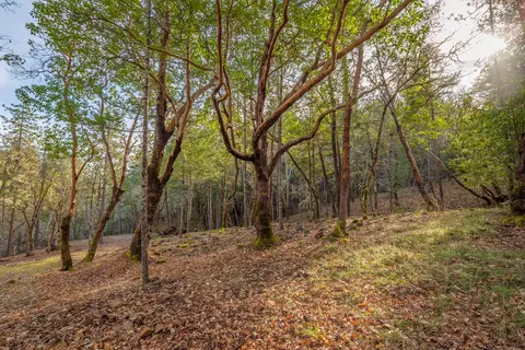 1224 W Jones Creek Rd #LOT 2, Grants Pass, OR 97526