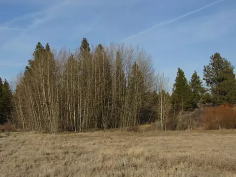 0 Sundance Dr #9, Chiloquin, OR 97624