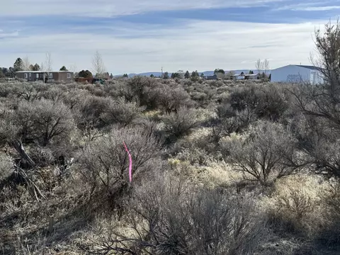 maple circle road, Christmas Valley, OR 97641