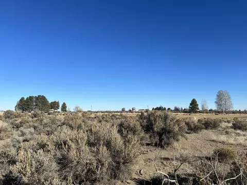 maple circle road, Christmas Valley, OR 97641