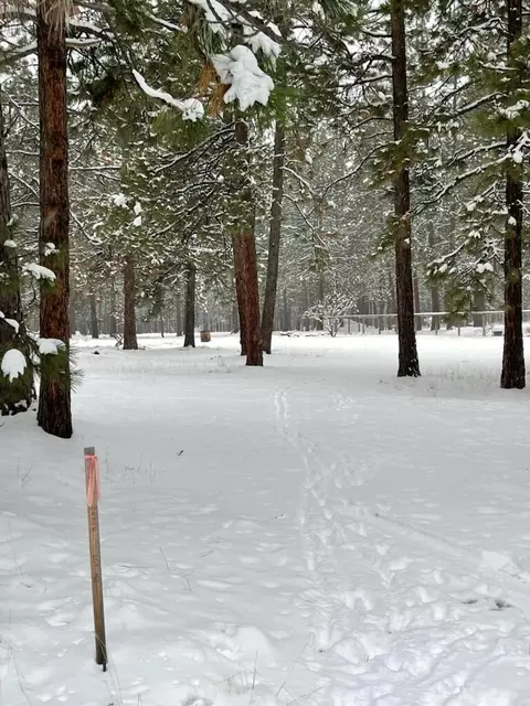 60163 Crater Rd, Bend, OR 97702 photo 3