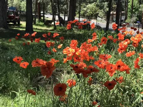 Other - 11374 Red Wing Loop, Keno, OR 97627 photo 14 of 14