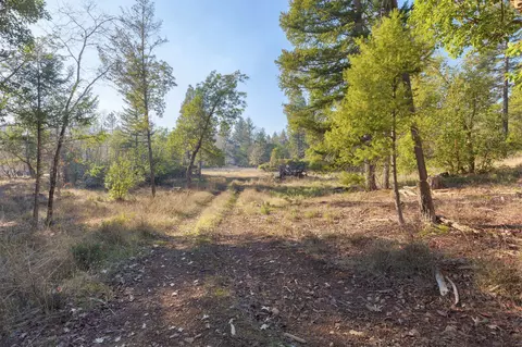 201 Kirkham Rd, Cave Junction, OR 97523 photo 51