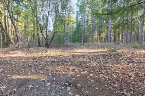 201 Kirkham Rd, Cave Junction, OR 97523 photo 53