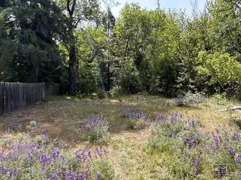 1773 Cedar Flat Rd, Williams, OR 97544 photo 4