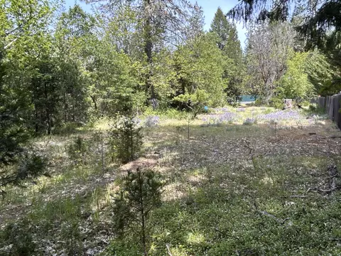 1773 Cedar Flat Rd, Williams, OR 97544 photo 7