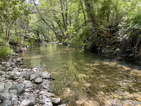 1773 Cedar Flat Rd, Williams, OR 97544