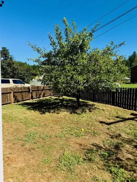 Exterior - 202 S Junction Ave, Cave Junction, OR 97523 photo 5 of 12