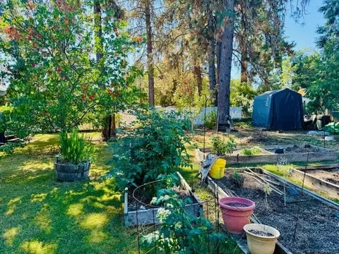 Exterior - 202 S Junction Ave, Cave Junction, OR 97523 photo 9 of 12