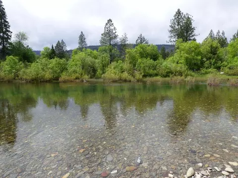 230 Burch Dr, Cave Junction, OR 97523 photo 3