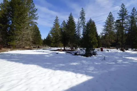 230 Burch Dr, Cave Junction, OR 97523 photo 5