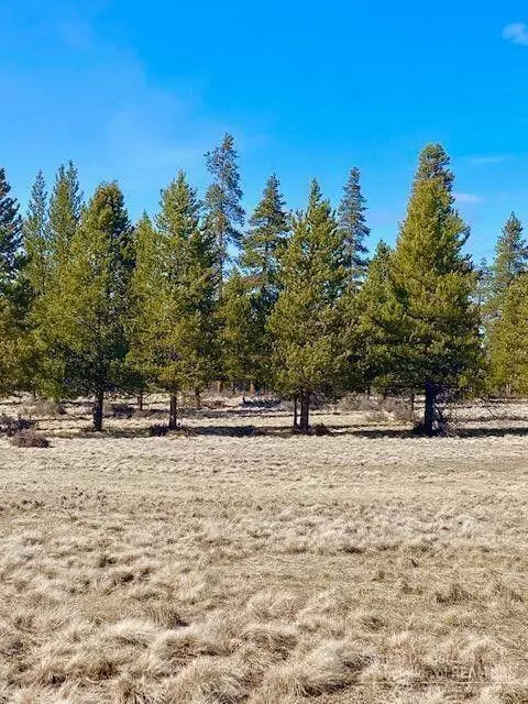 Corral Ct. #500 Court, La Pine, OR 97739