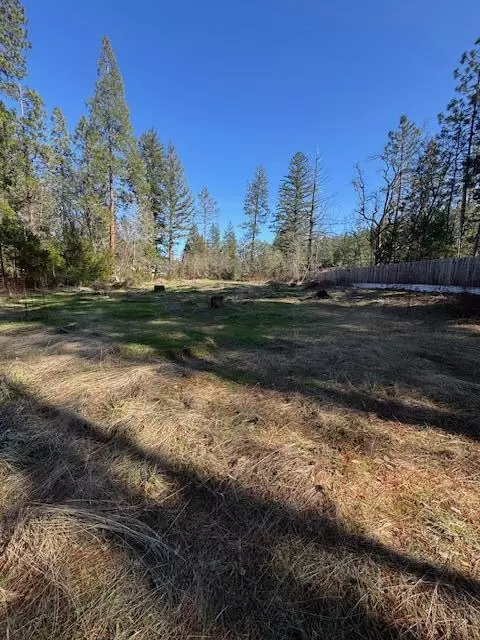 254 Burch Dr, Cave Junction, OR 97523 photo 7
