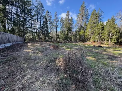 254 Burch Dr, Cave Junction, OR 97523 photo 4