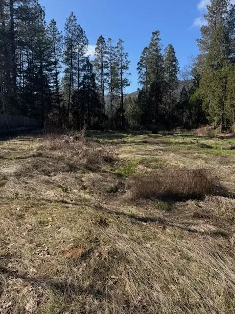254 Burch Dr, Cave Junction, OR 97523 photo 6