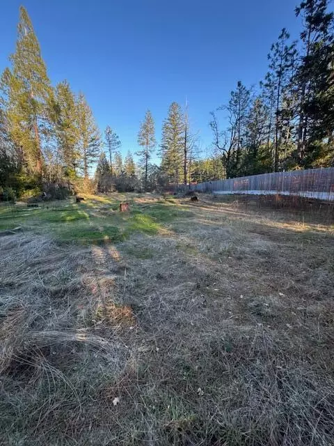 254 Burch Dr, Cave Junction, OR 97523 photo 5