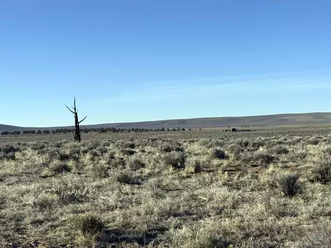 hwy 20, Brothers, OR 97712