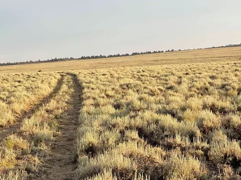 indian skull road, Silver Lake, OR 97638