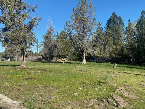 63480 Hughes Rd, Bend, OR 97701 photo 42