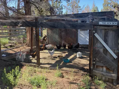 63480 Hughes Rd, Bend, OR 97701 photo 60