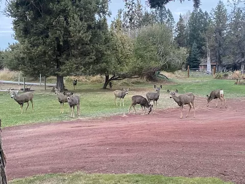 63480 Hughes Rd, Bend, OR 97701 photo 59