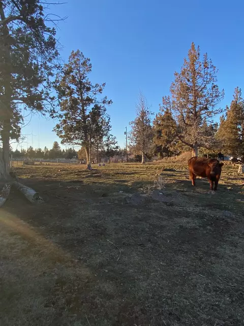 63480 Hughes Rd, Bend, OR 97701 photo 51