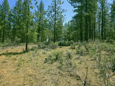 0 Elde St #20, Chiloquin, OR 97624 photo 2