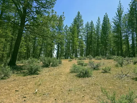 0 Elde St #20, Chiloquin, OR 97624