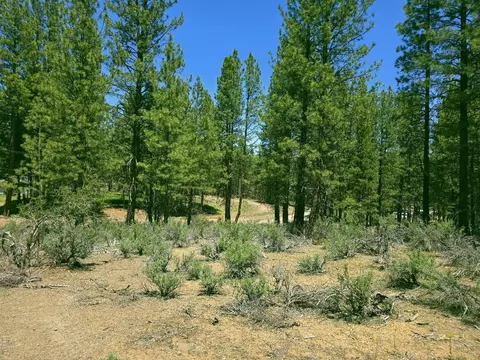0 Elde St #20, Chiloquin, OR 97624 photo 3