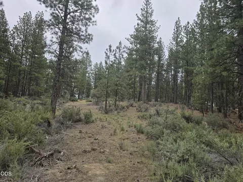 0 Elde St #20, Chiloquin, OR 97624 photo 2