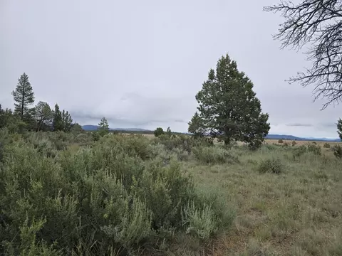 Tableland Road, Sprague River, OR 97639