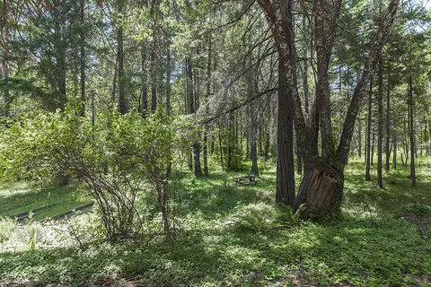 660 E Fork Rd, Williams, OR 97544 photo 37