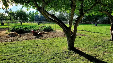 4334 Hilsinger Rd, Phoenix, OR 97535 photo 3