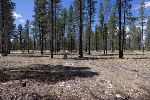 17748 Preservation Loop #483, Bend, OR 97707