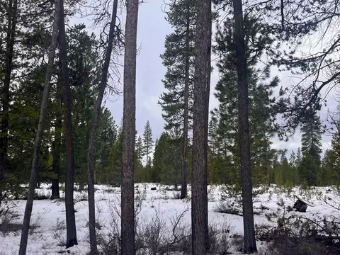 Other - 17515 Holgate Ct, La Pine, OR 97739 photo 6 of 7
