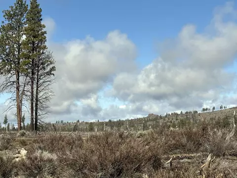 mountain quail lane, Chiloquin, OR 97624