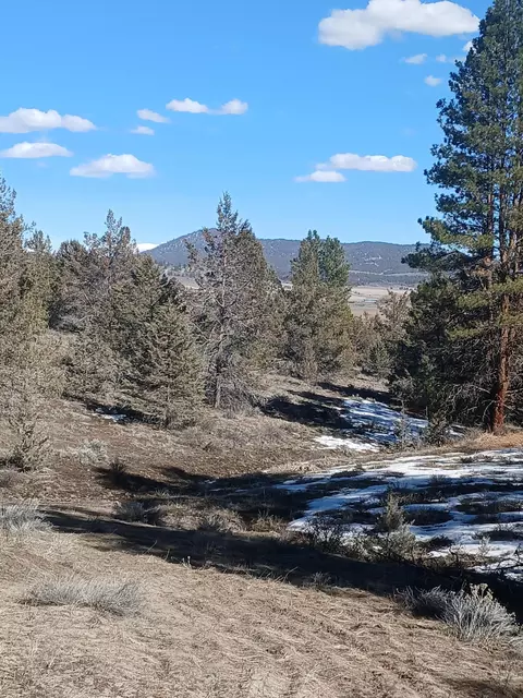 0 Drews Rd, Beatty, OR 97621