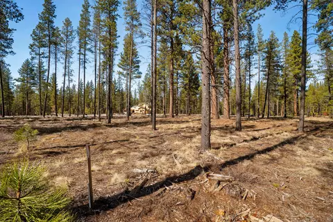 17760 Preservation Loop #484, Bend, OR 97707 photo 3