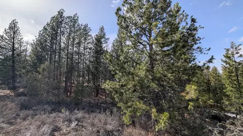 chipps, Chiloquin, OR 97624 photo 4