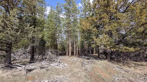chipps, Chiloquin, OR 97624