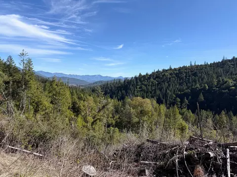 Cedar Flat Road, Cave Junction, OR 97523 photo 5