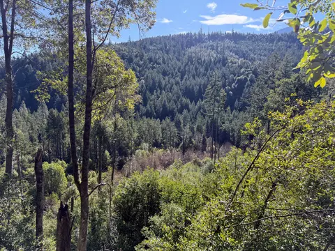 Cedar Flat Road, Cave Junction, OR 97523 photo 2