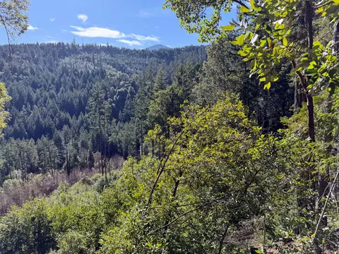 Cedar Flat Road, Cave Junction, OR 97523 photo 3