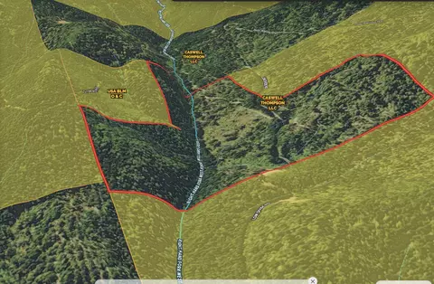 Cedar Flat Road, Cave Junction, OR 97523 photo 10