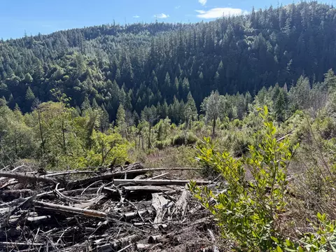 Cedar Flat Road, Cave Junction, OR 97523 photo 4