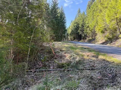 Cedar Flat Road, Cave Junction, OR 97523 photo 8