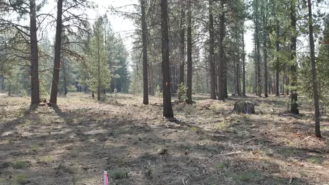 18259 Basalt Ln, Bend, OR 97707