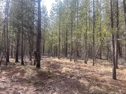 16854 Elsinore Rd, Bend, OR 97707 photo 14