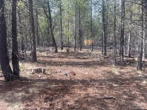 16854 Elsinore Rd, Bend, OR 97707 photo 21