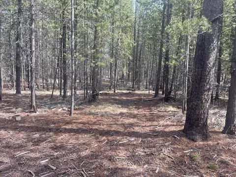 16854 Elsinore Rd, Bend, OR 97707 photo 23